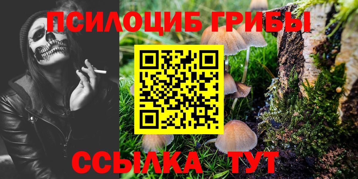 Галлюциногенные грибы ЛСД Рузаевка