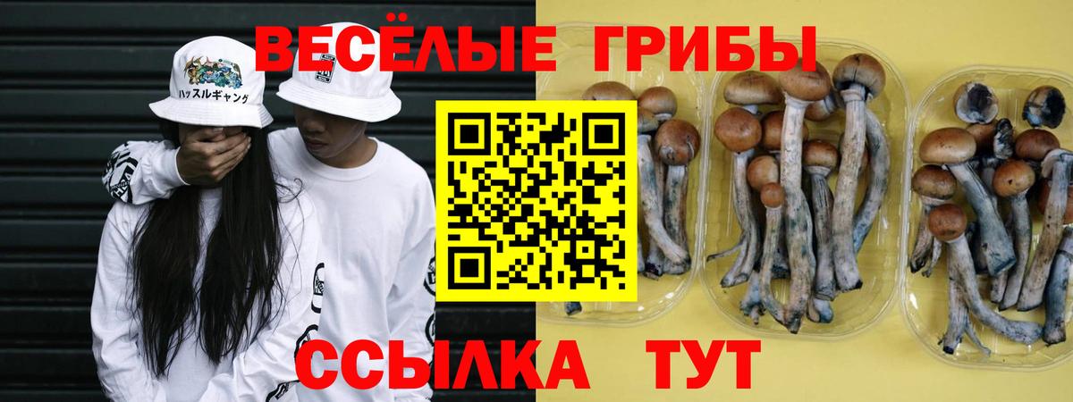 Рузаевка  Галлюциногенные грибы MAGIC MUSHROOMS  Вход с VPN 
